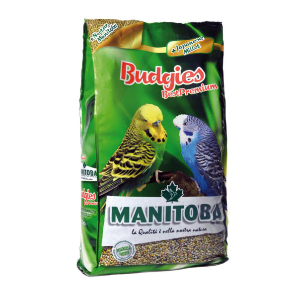 غذای مرغ عشق مانیتوبا مدل budgies